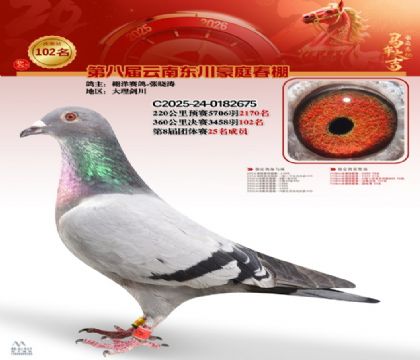 豪庭春棚決賽102名