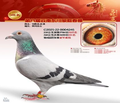 豪庭春棚決賽101名