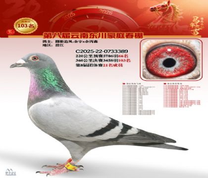 豪庭春棚決賽103名