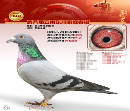 豪庭春棚決賽104名