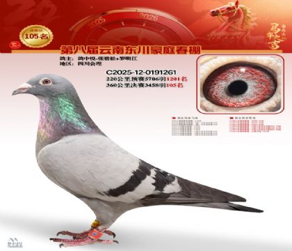 豪庭春棚決賽105名