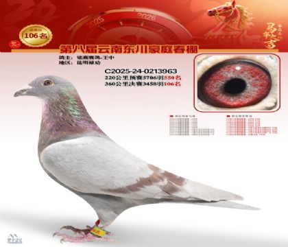 豪庭春棚決賽106名