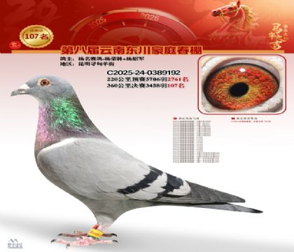 豪庭春棚決賽107名