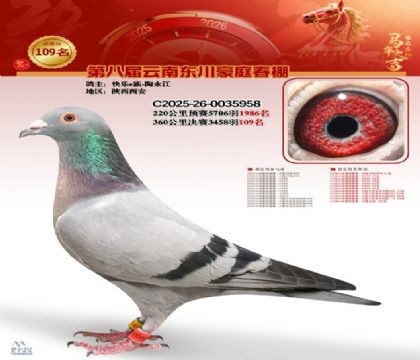 豪庭春棚決賽109名