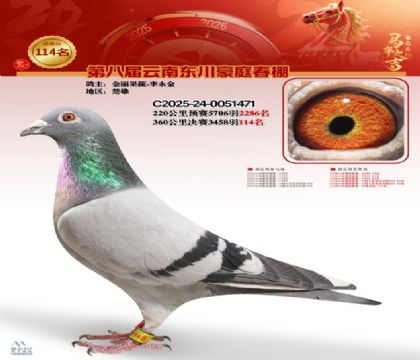 豪庭春棚決賽114名