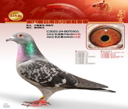 豪庭春棚決賽115名