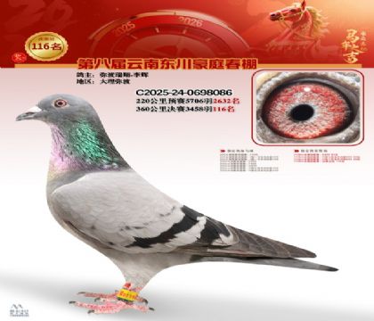 豪庭春棚決賽116名