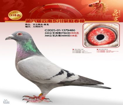 豪庭春棚決賽118名