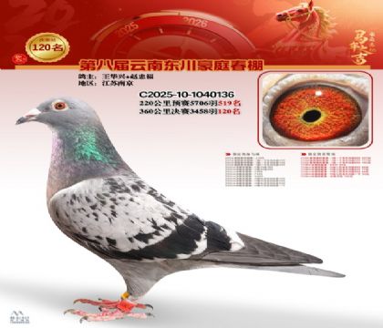 豪庭春棚決賽120名