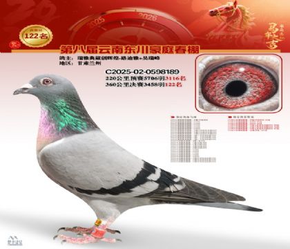 豪庭春棚決賽122名