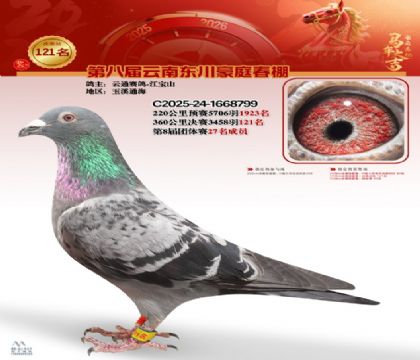 豪庭春棚決賽121名