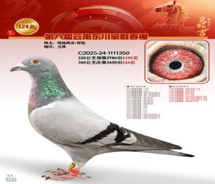 豪庭春棚決賽124名