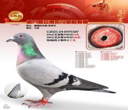 豪庭春棚決賽126名