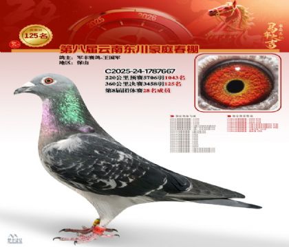 豪庭春棚決賽125名