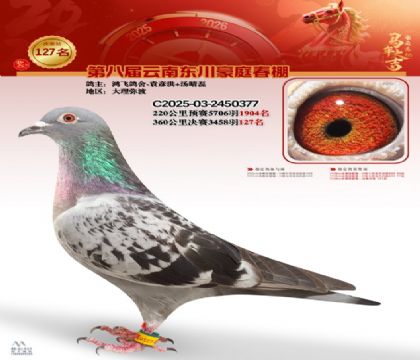 豪庭春棚決賽127名