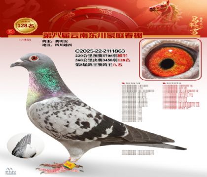 豪庭春棚決賽128名