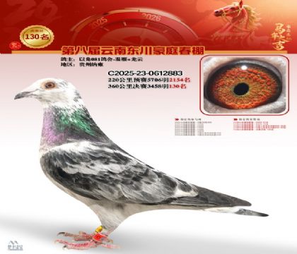 豪庭春棚決賽130名