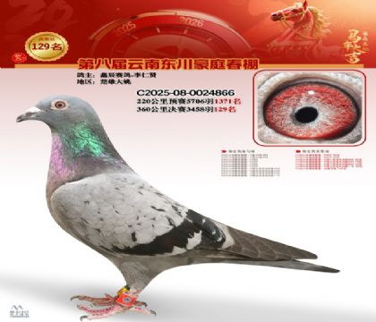 豪庭春棚決賽129名