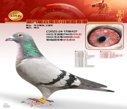 豪庭春棚決賽134名