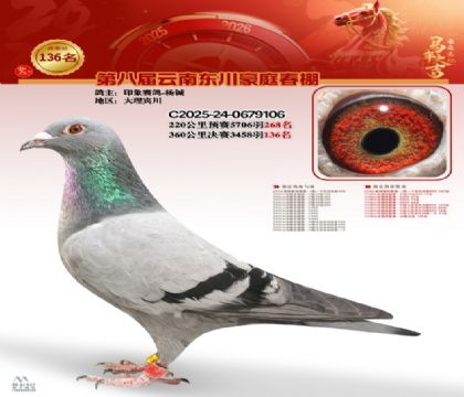 豪庭春棚決賽136名