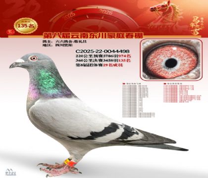 豪庭春棚決賽135名