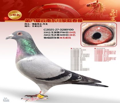 豪庭春棚決賽140名