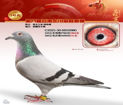 豪庭春棚決賽141名