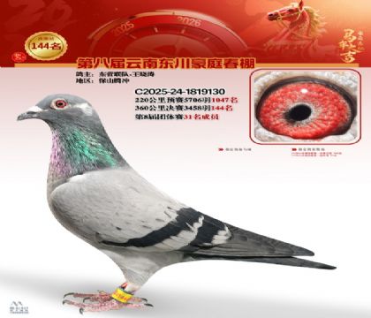 豪庭春棚決賽144名