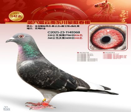 豪庭春棚決賽142名