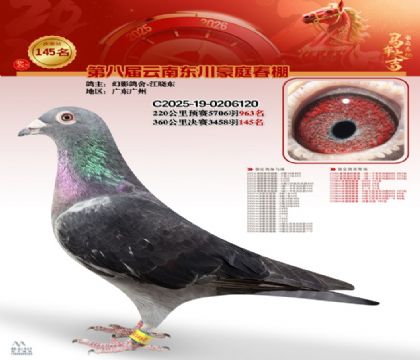 豪庭春棚決賽145名