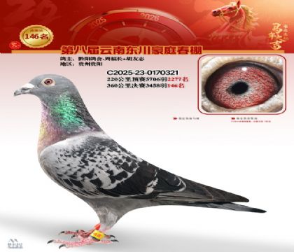 豪庭春棚決賽146名