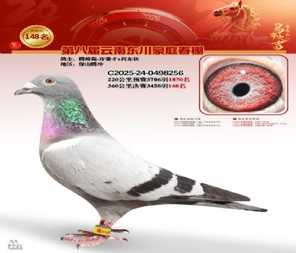 豪庭春棚決賽148名