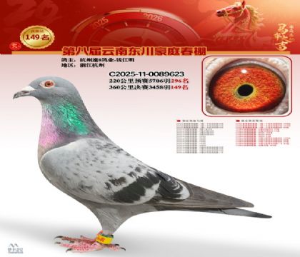 豪庭春棚決賽149名