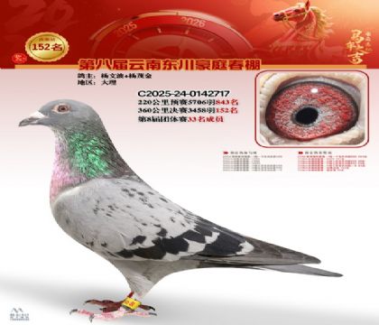 豪庭春棚決賽152名