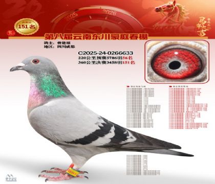 豪庭春棚決賽151名