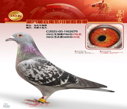 豪庭春棚決賽153名