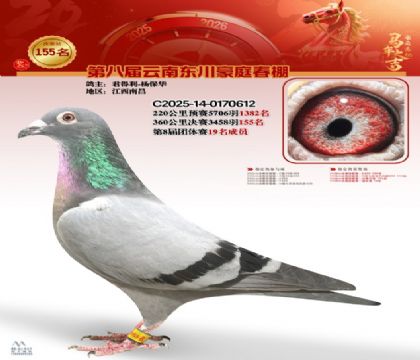 豪庭春棚決賽155名