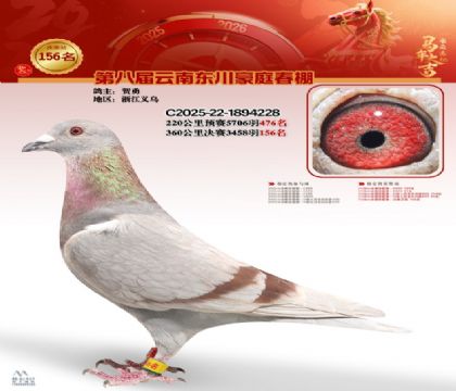 豪庭春棚決賽156名