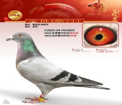 豪庭春棚決賽159名