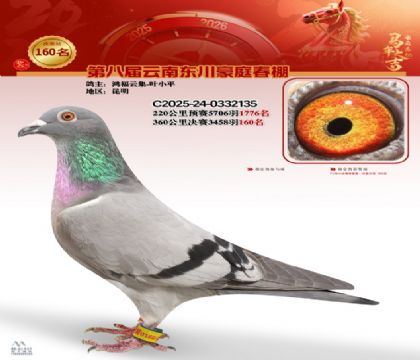 豪庭春棚決賽160名