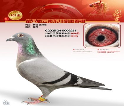 豪庭春棚決賽161名