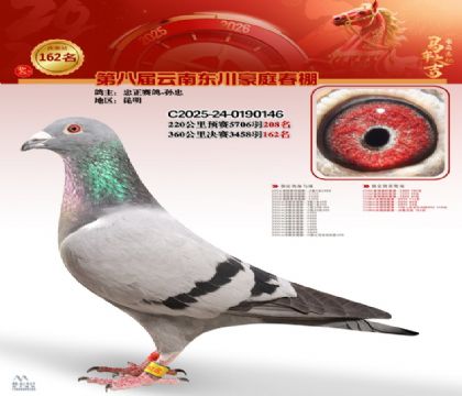 豪庭春棚決賽162名