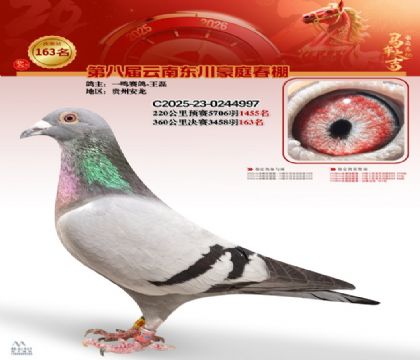 豪庭春棚決賽163名