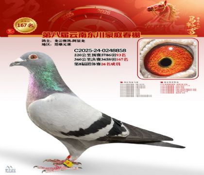 豪庭春棚決賽167名