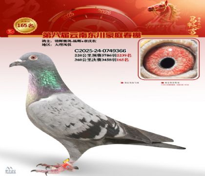 豪庭春棚決賽165名