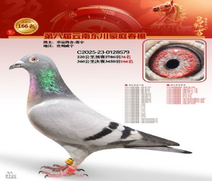 豪庭春棚決賽166名