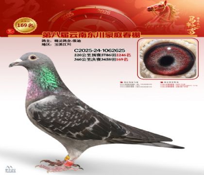 豪庭春棚決賽169名