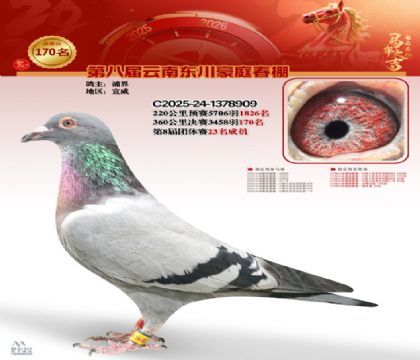 豪庭春棚決賽170名