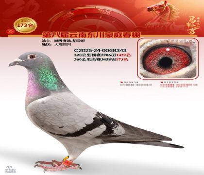 豪庭春棚決賽173名