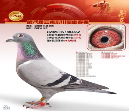 豪庭春棚決賽175名